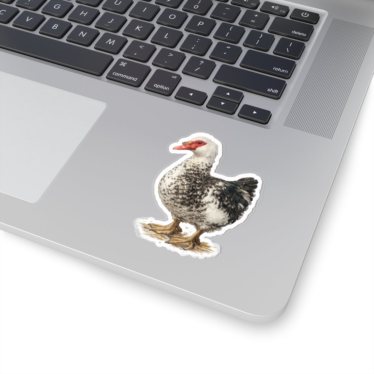 Sampson the Muscovy Duck Sticker – Rescue Duck Vinyl Sticker | Fort Fluffy Butt