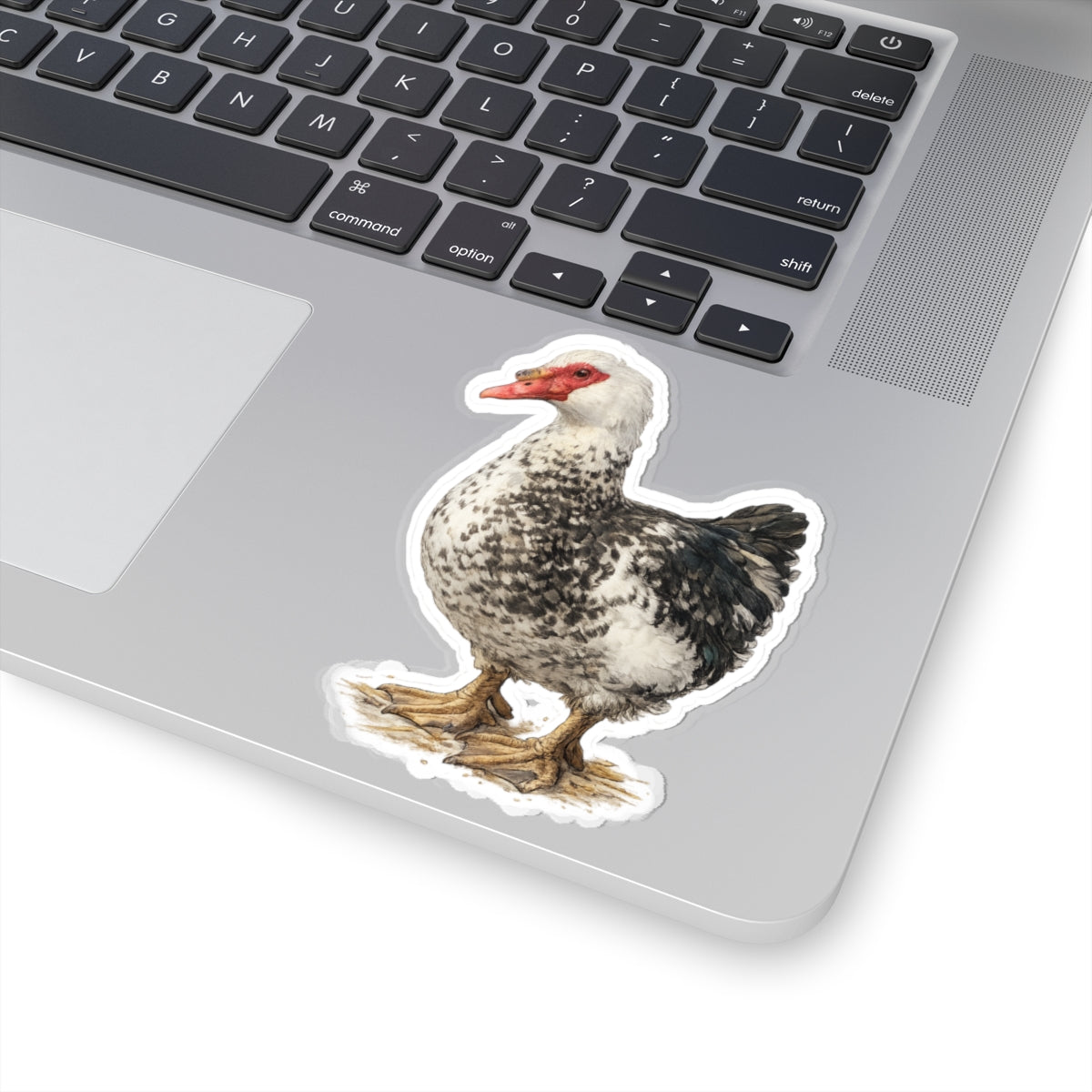 Sampson the Muscovy Duck Sticker – Rescue Duck Vinyl Sticker | Fort Fluffy Butt